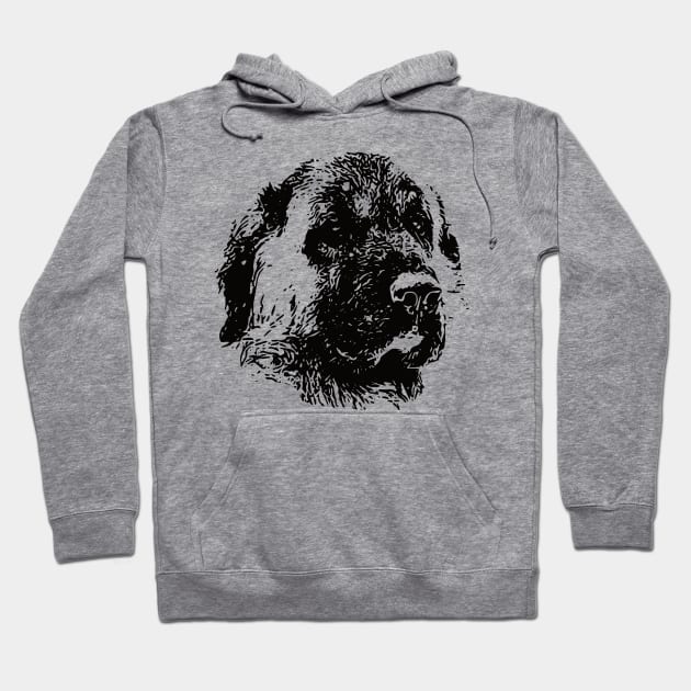 Anatolian Shepherd gift for Kangal Owners Hoodie by DoggyStyles